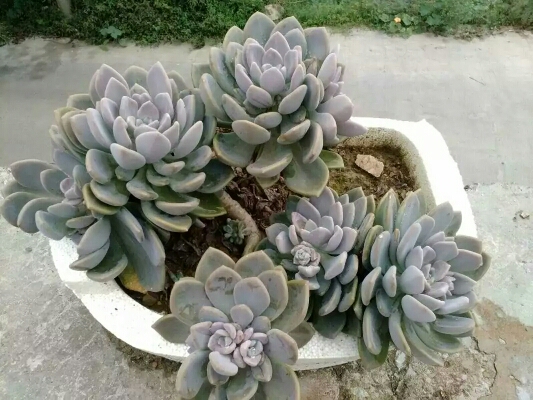 20170811_124697_1502418932389.jpg