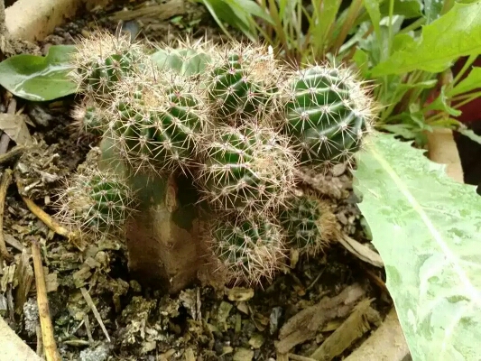 20170811_124697_1502418932495.jpg