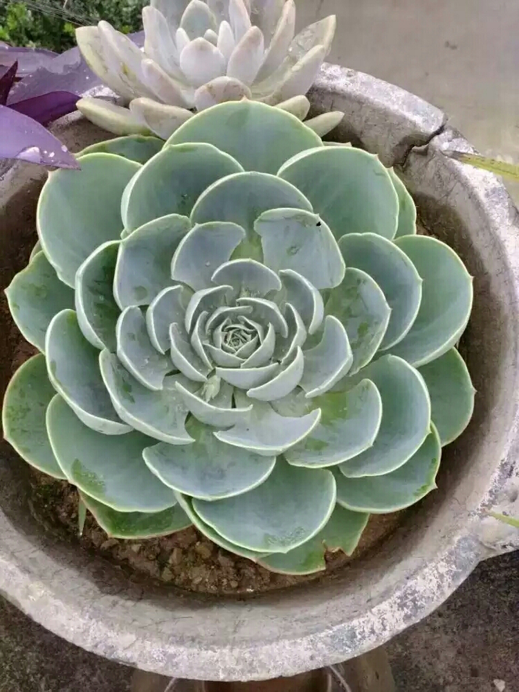 20170811_124697_1502418931775.jpg