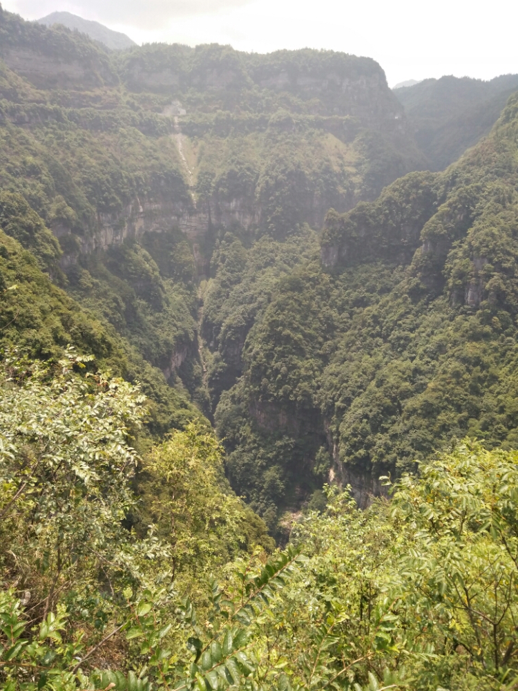 20170811_101992_1502424225702.jpg