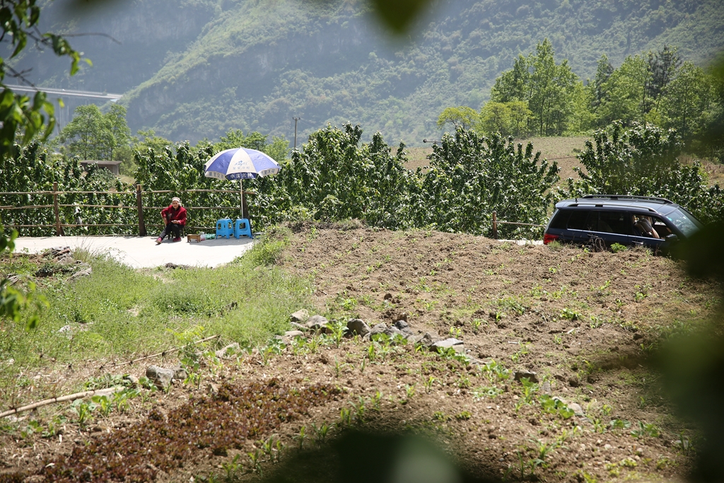 1S5A0605_副本.jpg