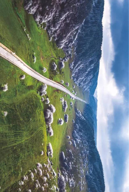 201708151204351502808227890773.jpg