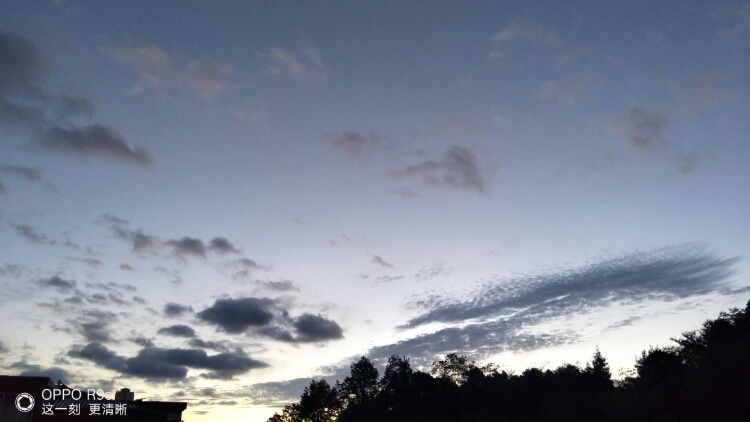 20170818_83732_1503007463884.jpg