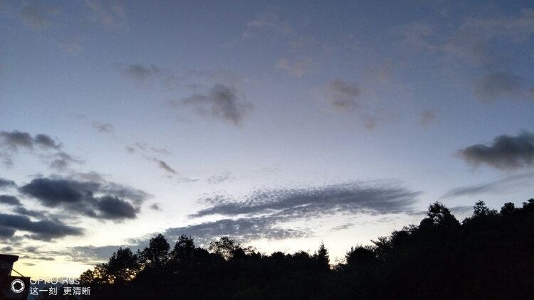 20170818_83732_1503007464297.jpg