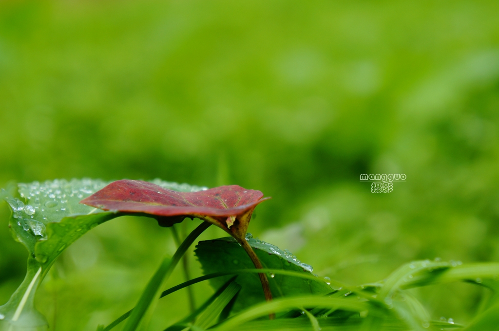 _DSC4425_副本.jpg