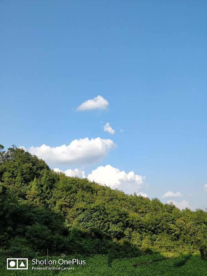 20170821_81492_1503316174366.jpg