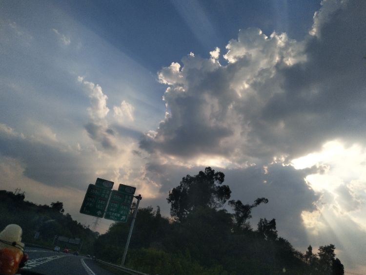 20170823_124439_1503485115961.jpg