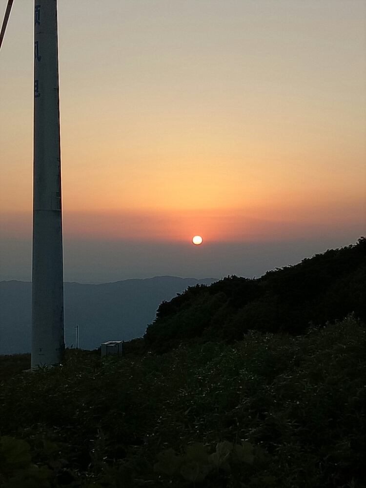 20170823_123515_1503501899304.jpg