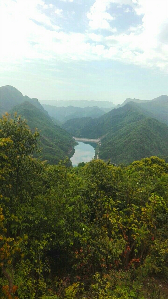 20170824_125517_1503575675357.jpg