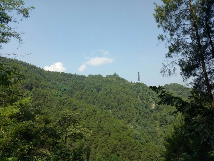 20170827_123515_1503797597227.jpg