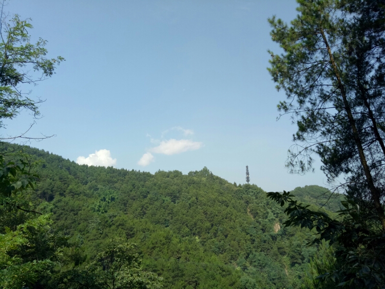 20170827_123515_1503797597641.jpg