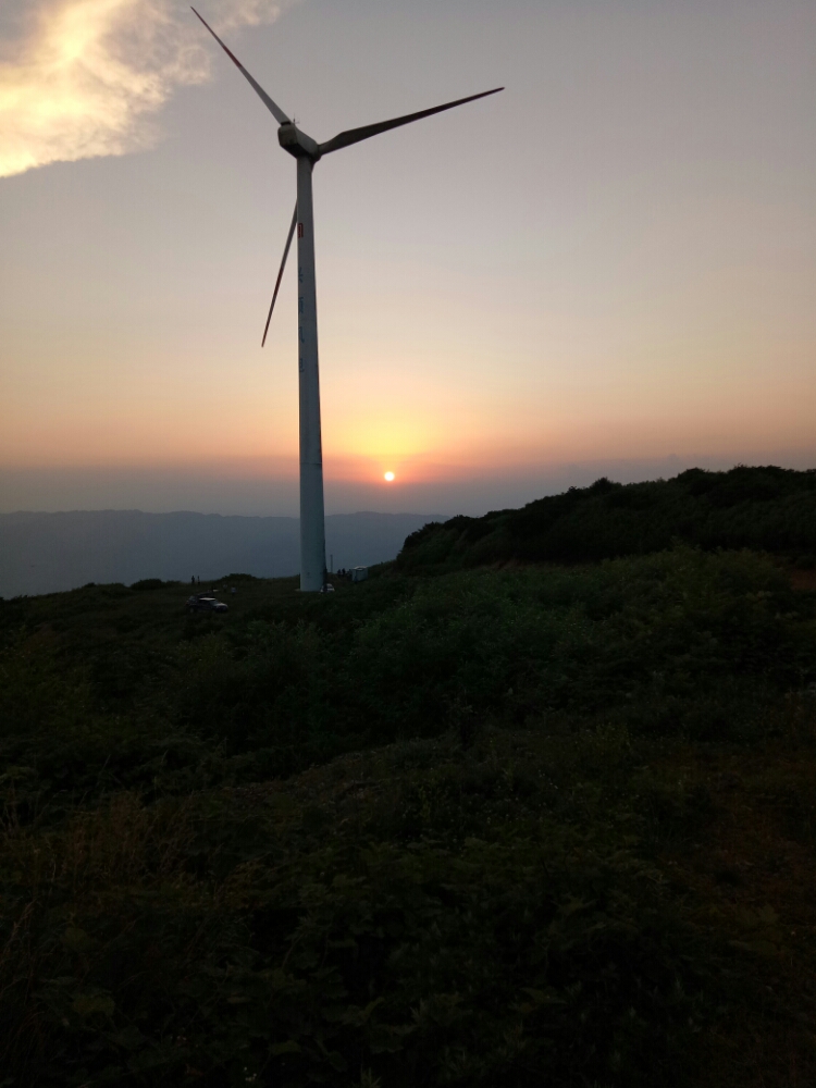 20170827_123515_1503797599110.jpg