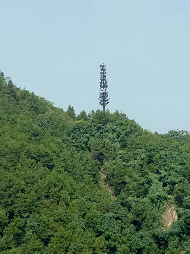 20170827_123515_1503797598039.jpg