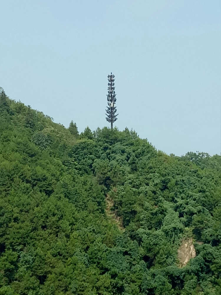 20170827_123515_1503797598389.jpg