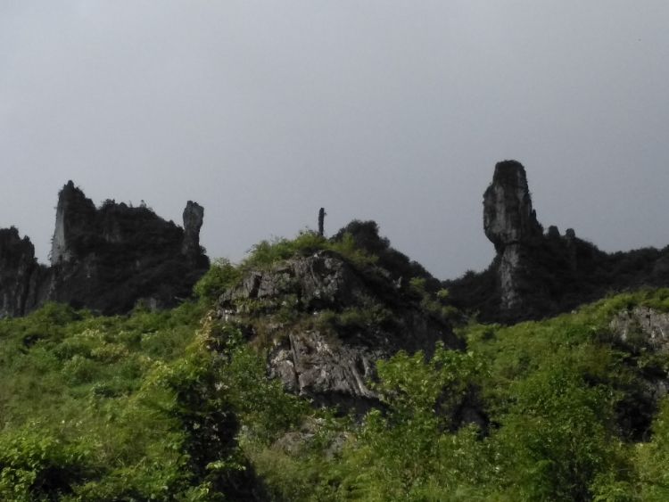 20170831_102637_1504114488898.jpg