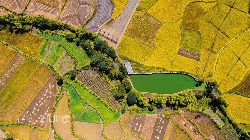 DJI_0104.jpg