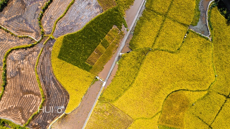 DJI_0105.jpg