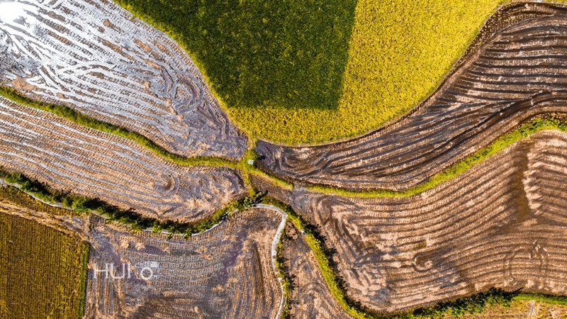 DJI_0106.jpg