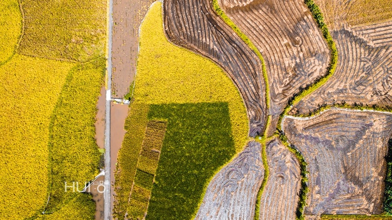 DJI_0107.jpg