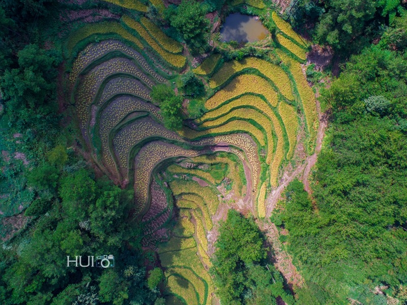 DJI_0115.jpg