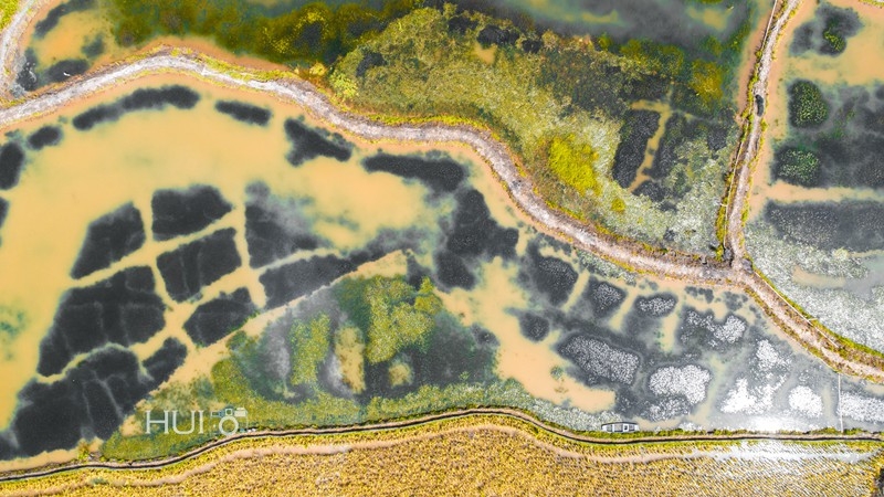 DJI_0112.jpg