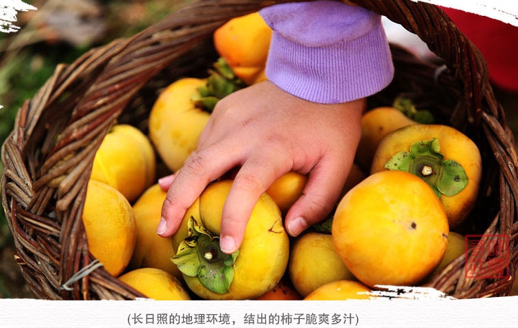 微信图片_20170913182238.jpg