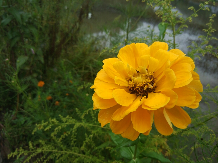 20170919_1051_1505815225670.jpg