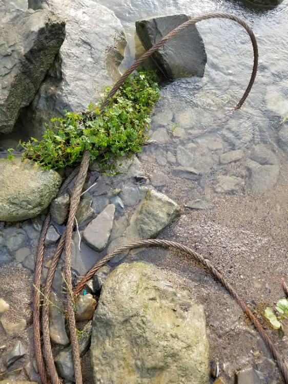 20170923_2654_1506181179203.jpg