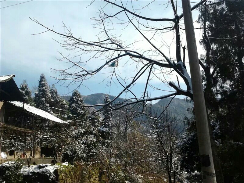 20180101_124697_1514806625248.jpg