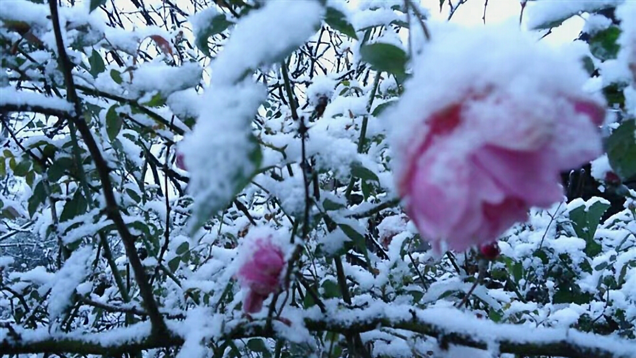 20180101_124697_1514806625670.jpg