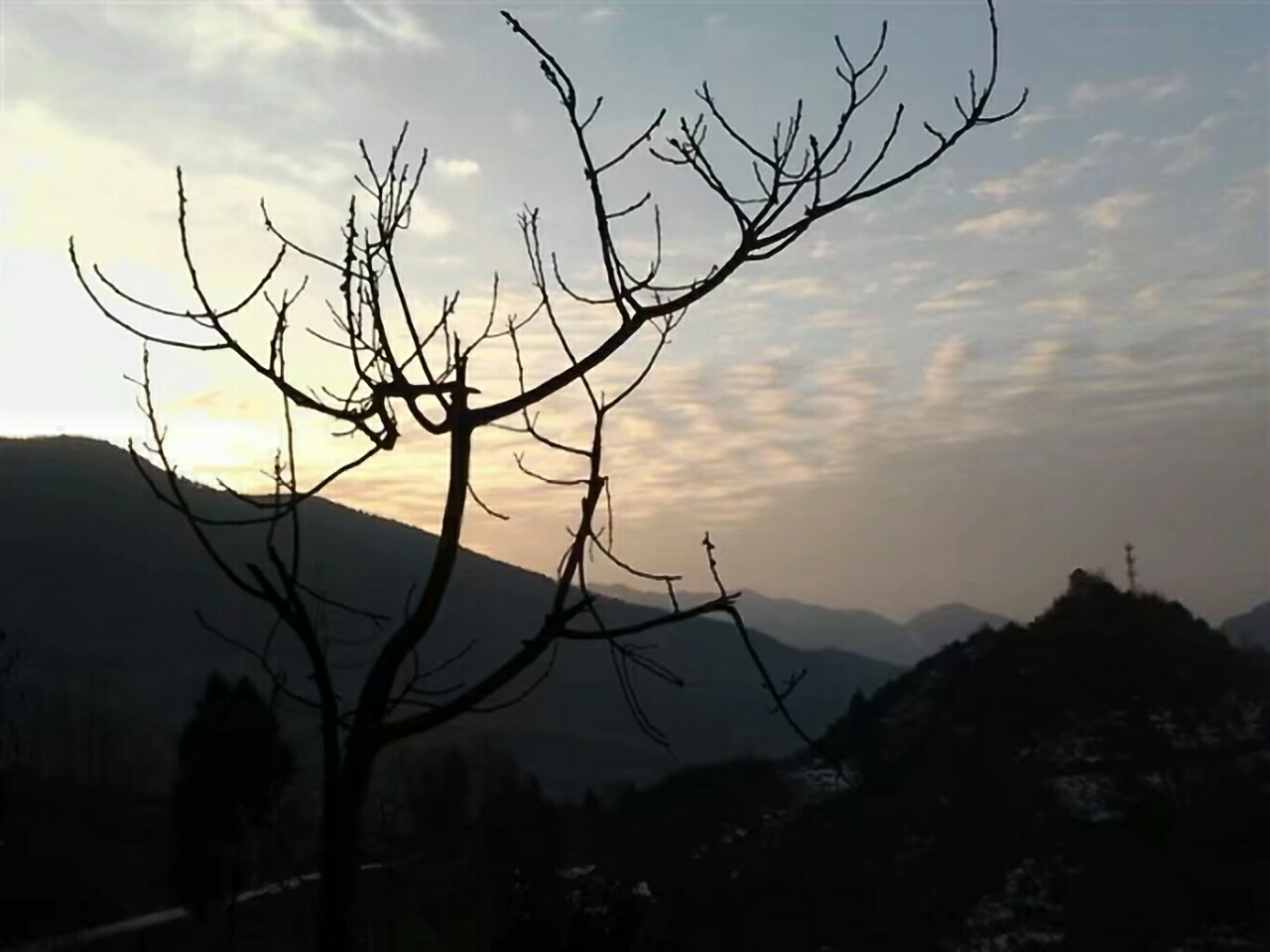20180101_124697_1514806626242.jpg