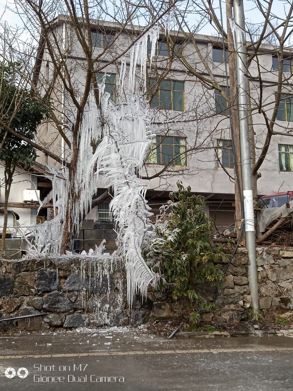 20180111_8017_1515682427870.jpg