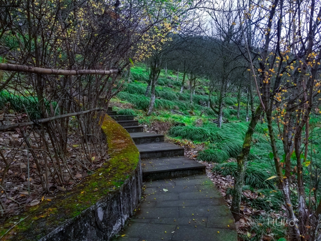 20180125_133300.jpg