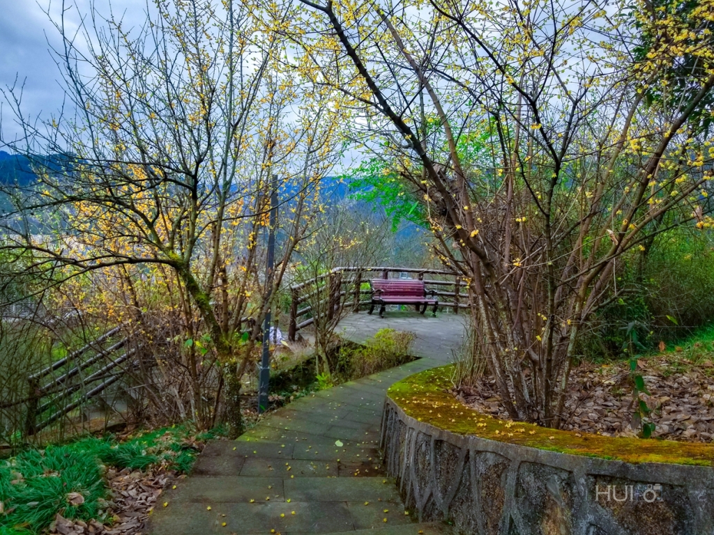 20180125_133408.jpg