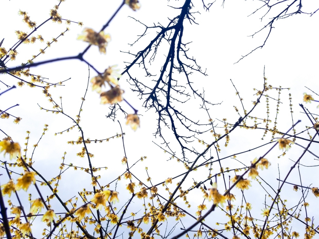 20180125_133818.jpg