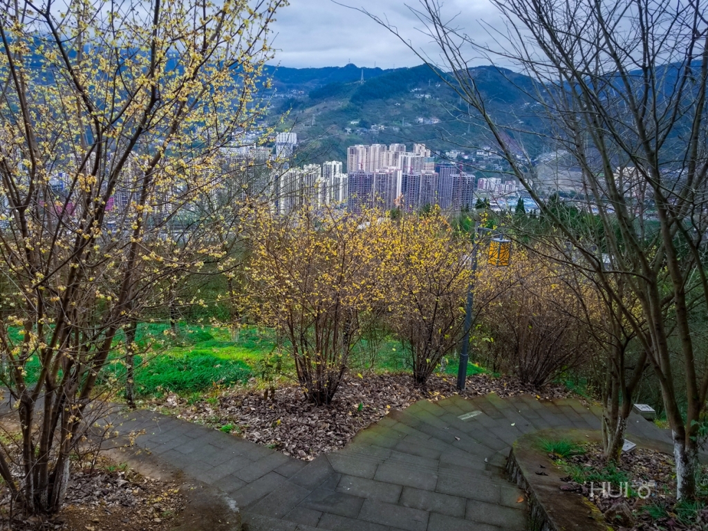 20180125_134659.jpg
