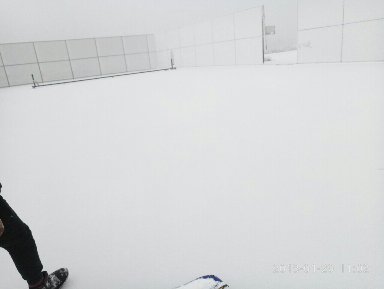 20180129_94657_1517204352551.jpg