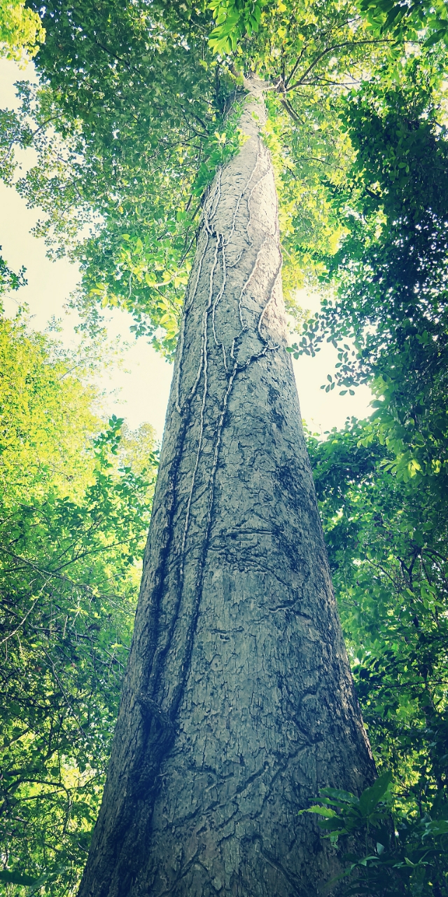 20180603_87755_1527984120506.jpg