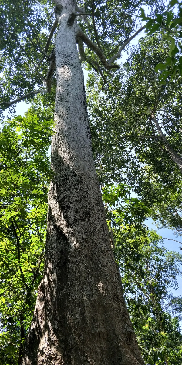 20180603_87755_1527984121669.jpg