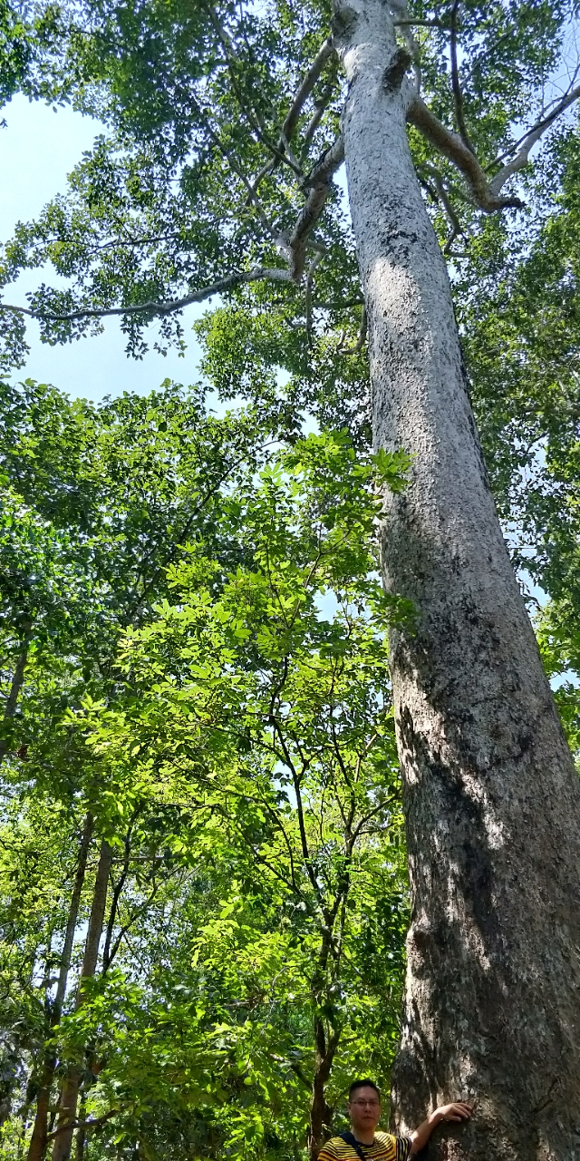20180603_87755_1527984122265.jpg