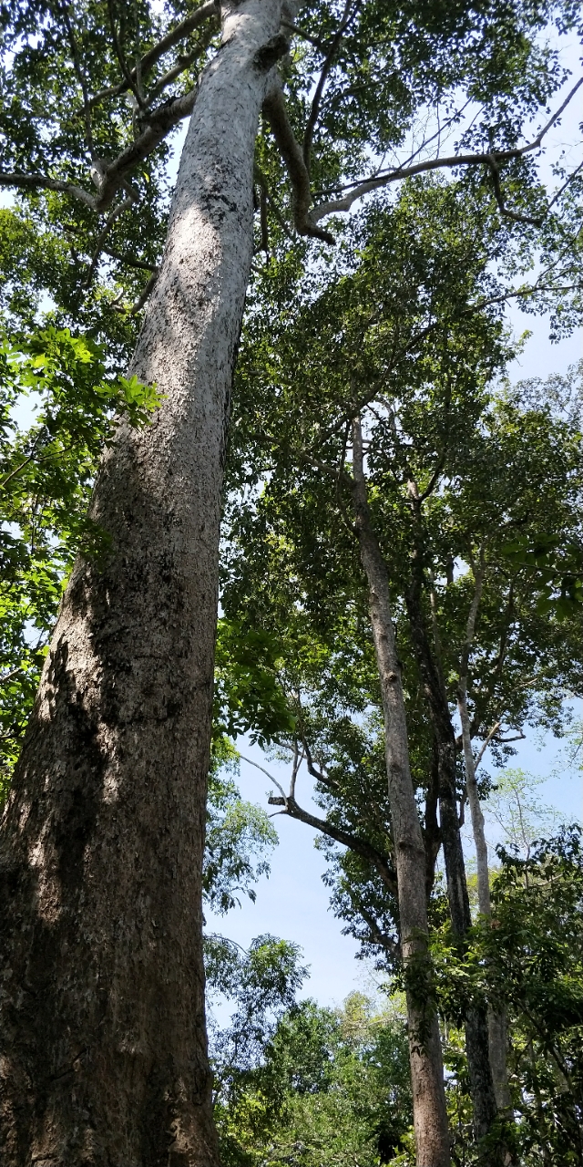 20180603_87755_1527984121973.jpg