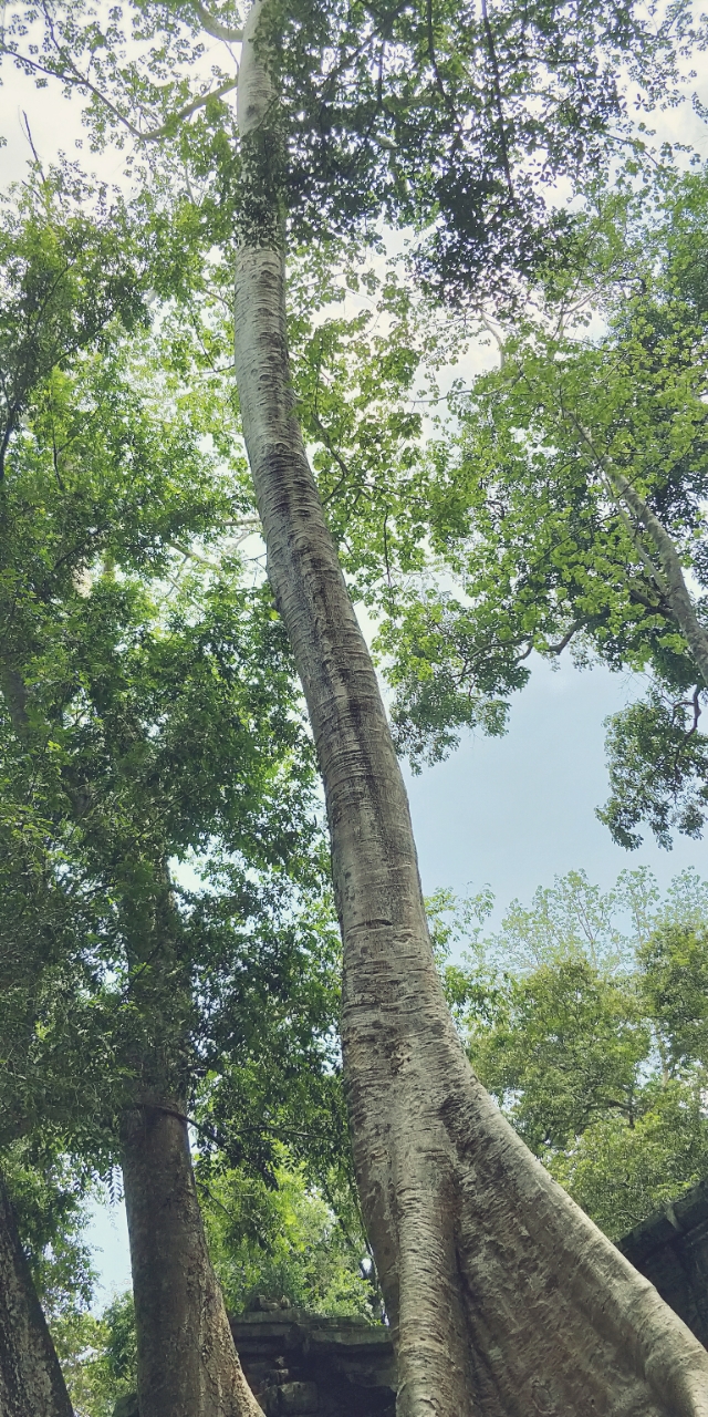 20180603_87755_1527984122817.jpg