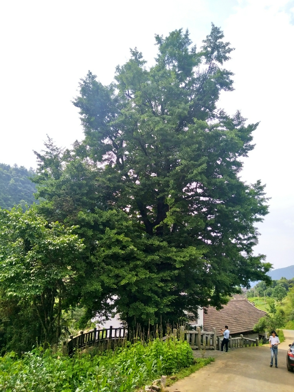 20180603_111155_1528035221204.jpg