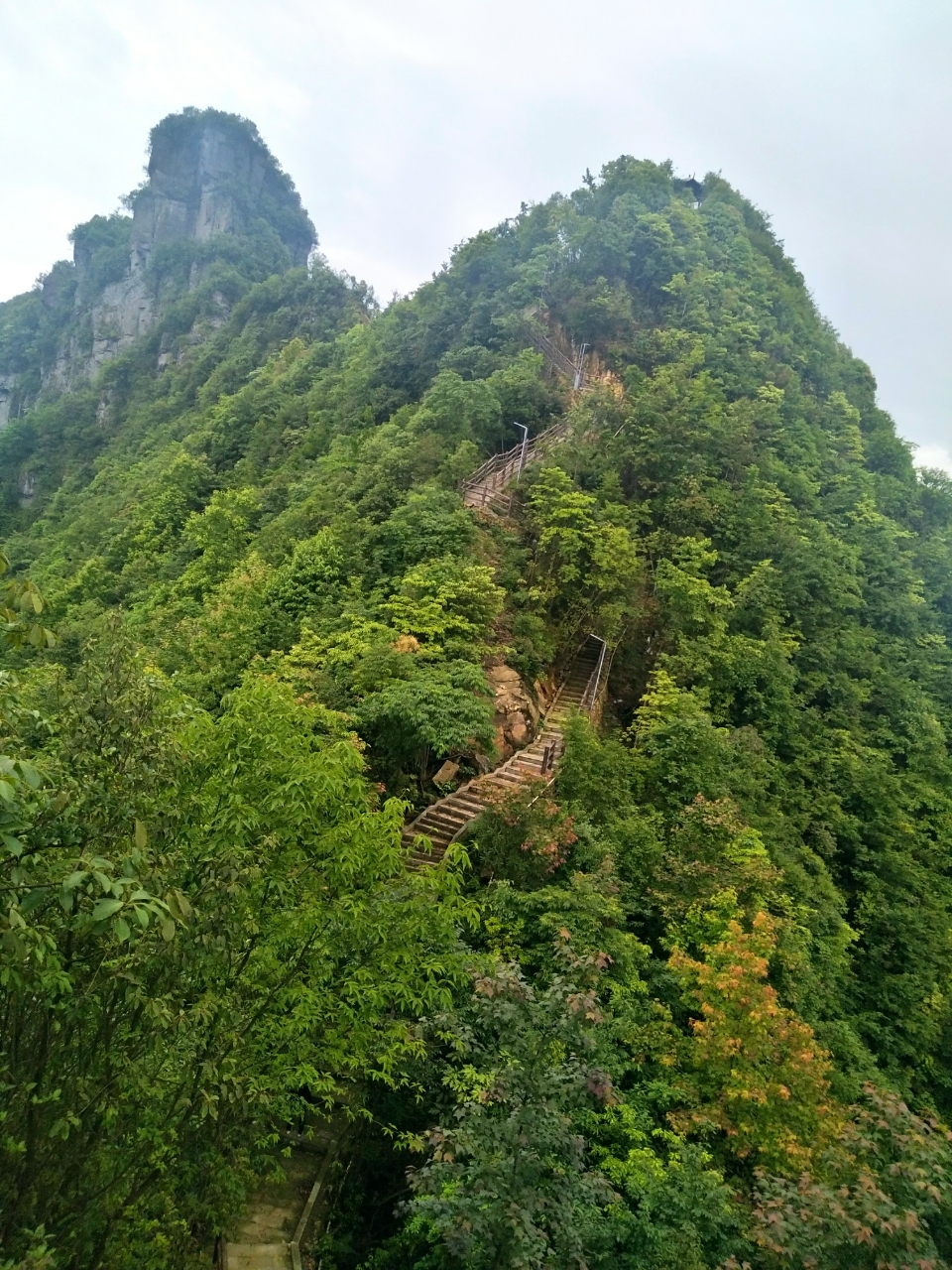 20180604_111155_1528119606681.jpg