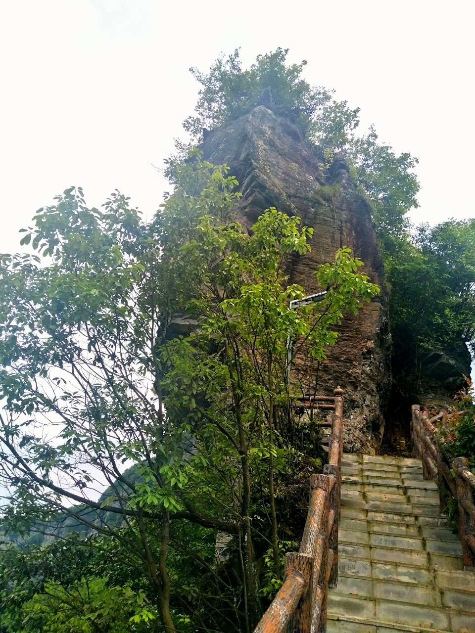 20180604_111155_1528119607640.jpg