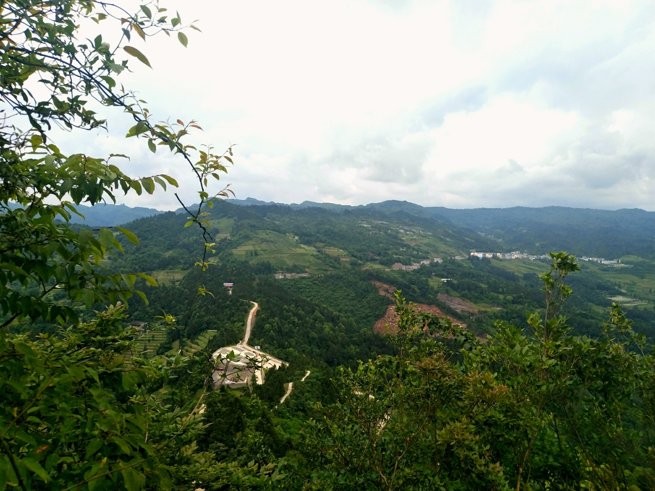 20180604_111155_1528119607899.jpg