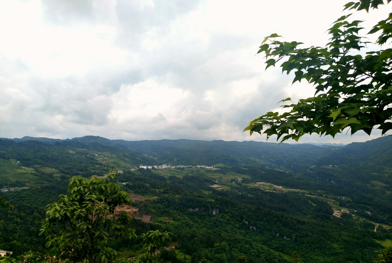 20180604_111155_1528119608164.jpg