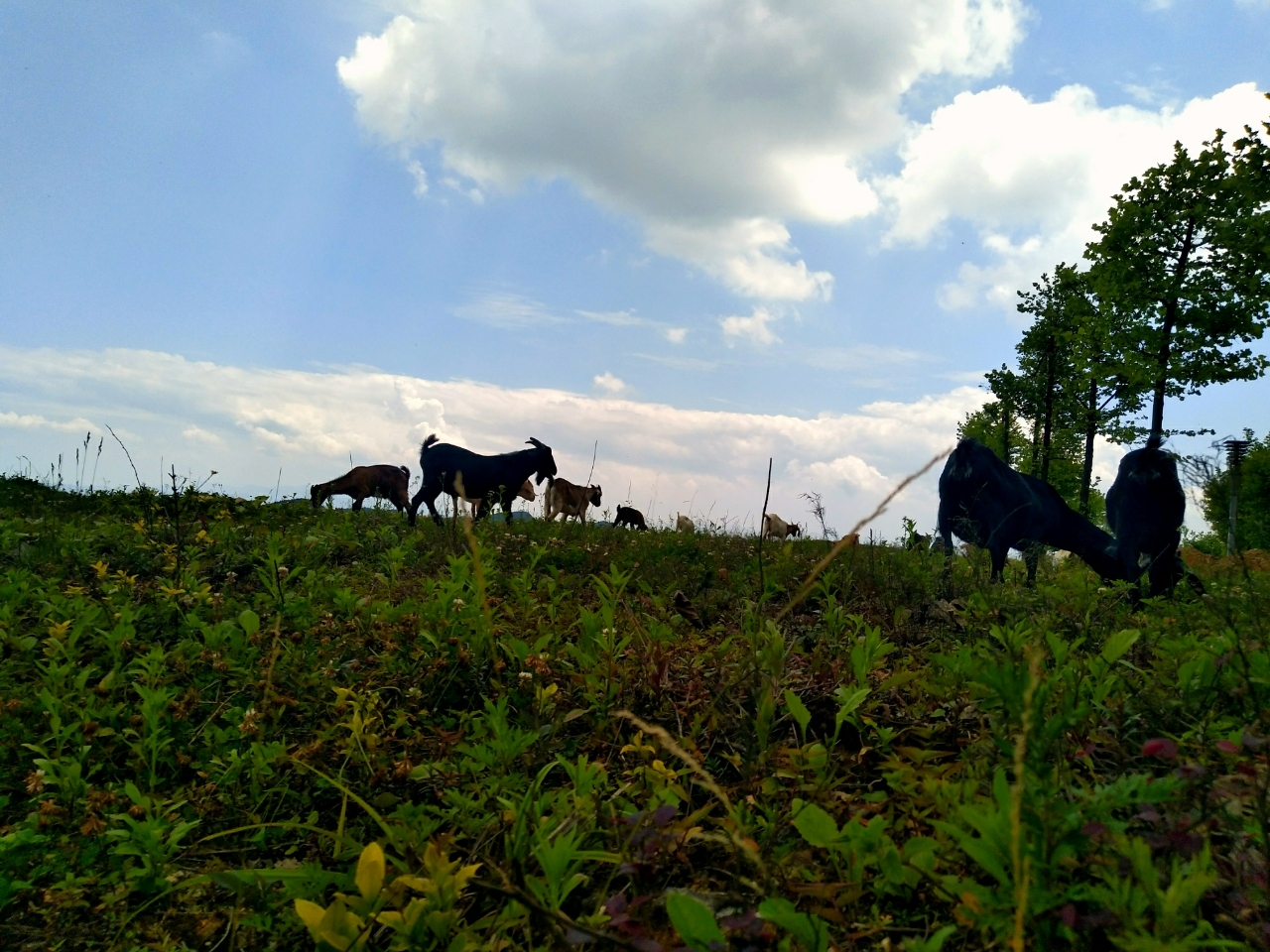 20180610_111155_1528621712800.jpg
