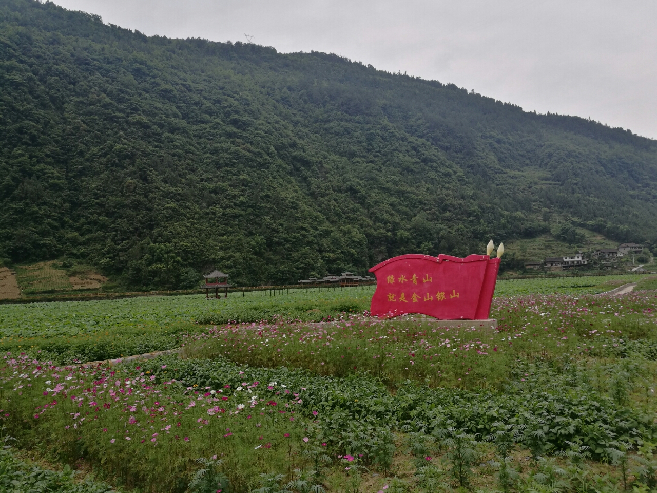 20180611_88257_1528693674583.jpg
