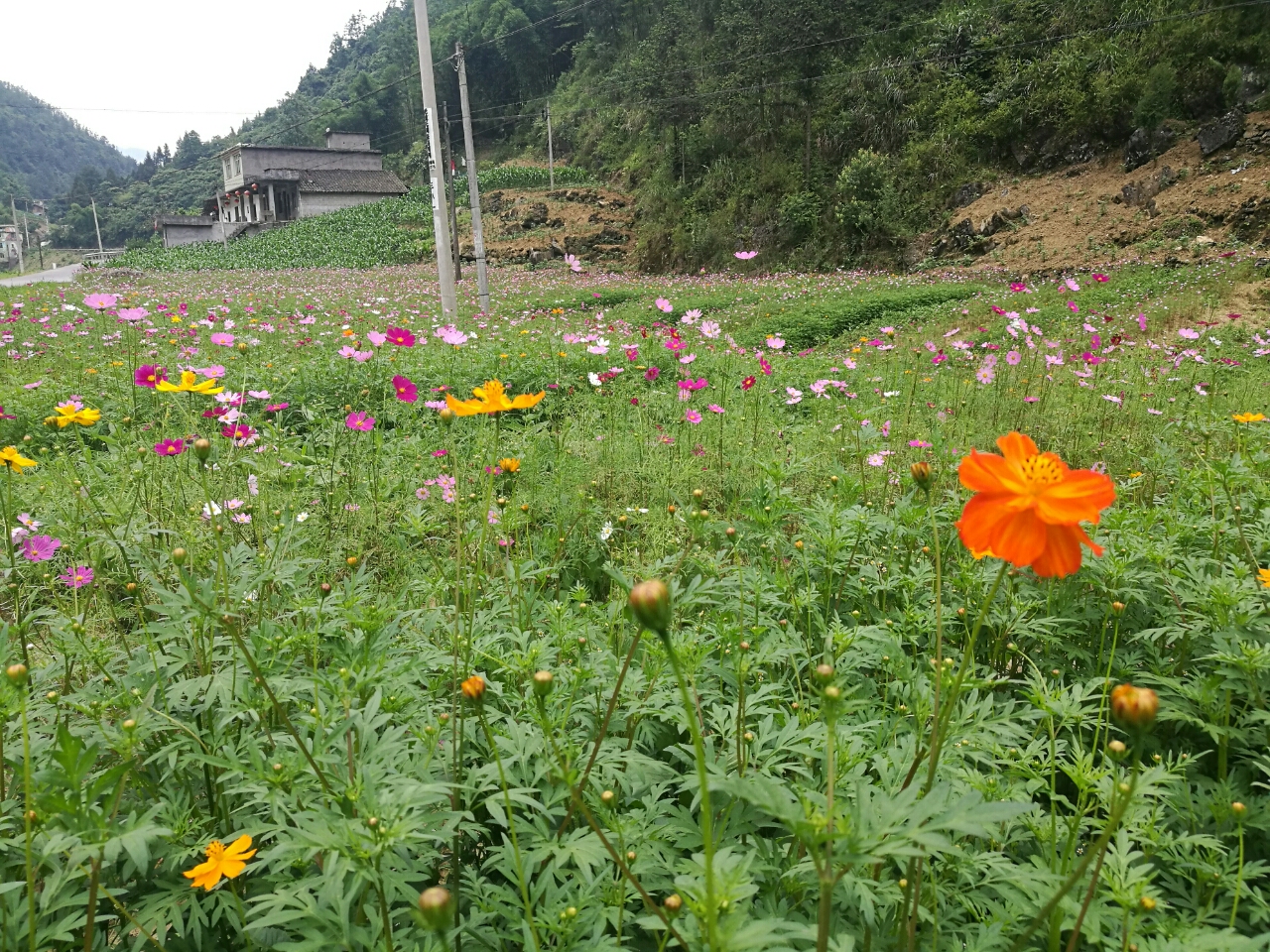 20180611_88257_1528693673851.jpg
